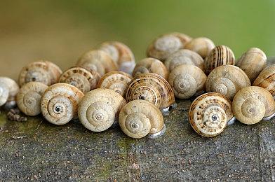 B社：放弃PS平台能让我们专注开发更好的游戏