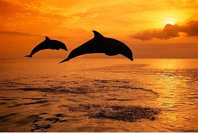 接近照片级画质 《极速骑行4》PS5版第一视角回放演示